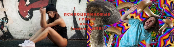 прущие крисы Аркадак