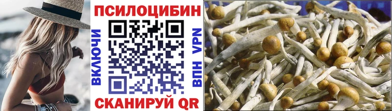 Галлюциногенные грибы Psilocybine cubensis  купить наркотик  мега зеркало  Спас-Деменск 